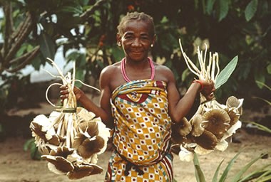 Mbuti woman with termite mushrooms