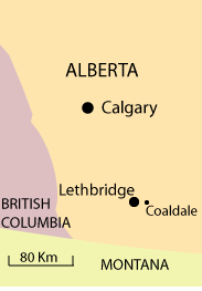 Coaldale, Alberta