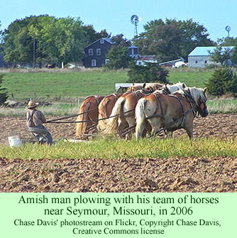 Amish plowing