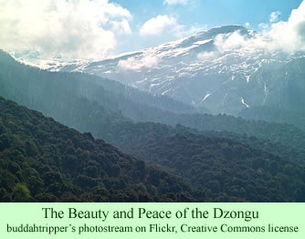 Dzongu beauty