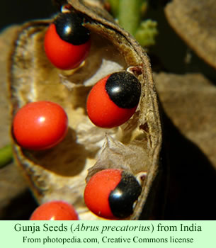 gunja seeds