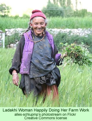Ladakhi farm woman