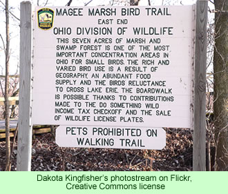 Magee Marsh Bird Trail