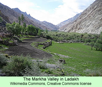 Markha Valley