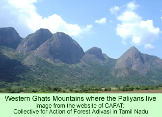 Western Ghats Mountains where the Paliyans live