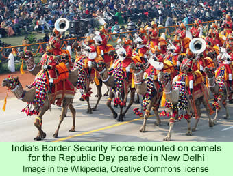 India's Border Security Force mounted on camels for the Republic Day parade in New Delhi.