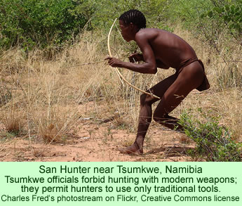San Hunter near Tsumkwe, Namibia Tsumkwe officials forbid hunting with modern weapons; they permit hunters to use only traditional tools. 
