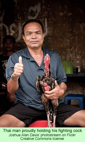Thai man with cock