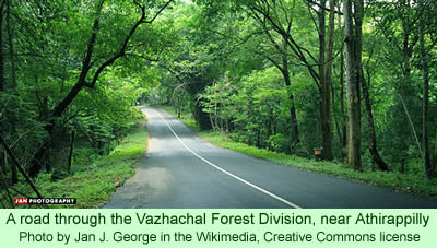 Vazhachal Forest