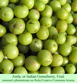 Amla fruit