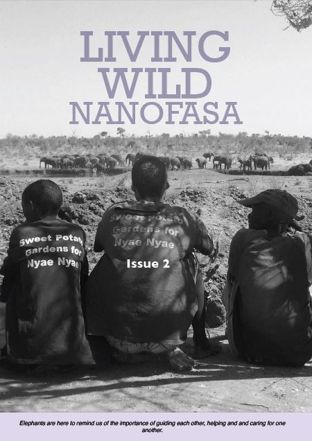 The cover of the Nanofasa newsletter