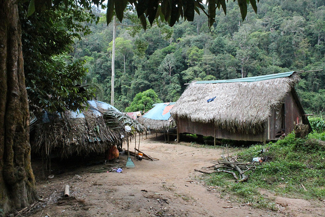A house in Kampung Dedari, surrounded by the forest of Taman Negara National Park.