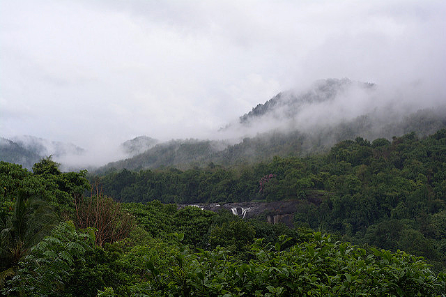The forests of the Kadar surround the famed Athirappilly Waterfalls on the Chalakudy River