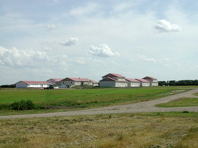 A Hutterite colony in Manitoba 