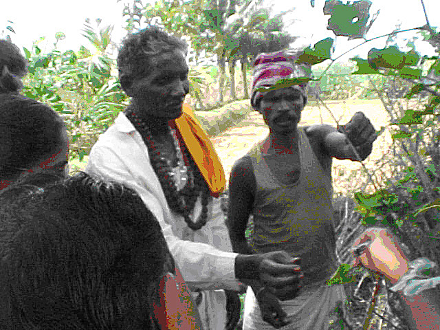 Yanadi healer pointing out medicinal plants in Andhra Pradesh 