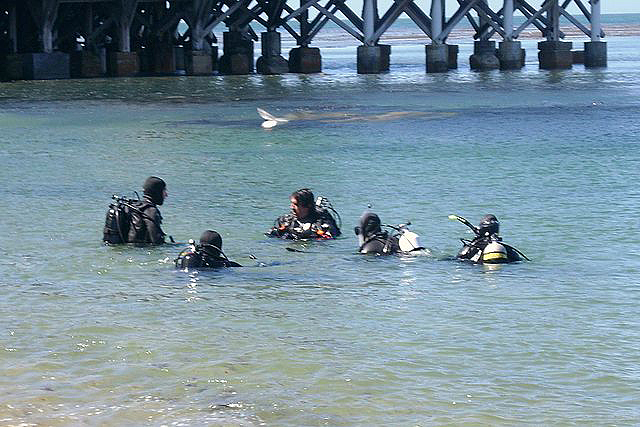 Scuba diving lesson in Monterey Bay, California 