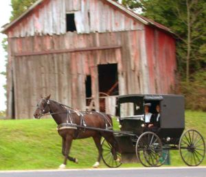 holmes county amish buggy
