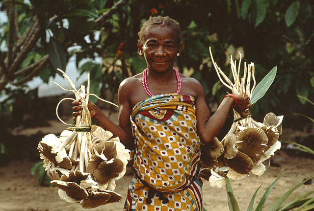 An Mbuti woman holding the non-timber forest products she has gathered, some mushrooms 