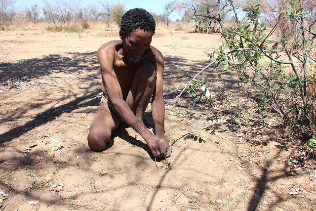 A Ju/’hoansi man in the village of Xaoba setting a bird trap