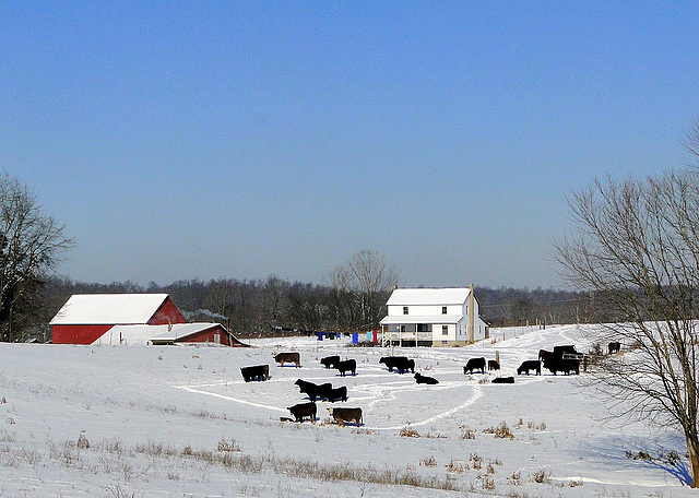 An Amish farm in Orange County, Indiana 