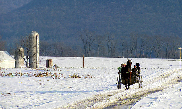 Amish outdoors in a Pennsylvania winter landscape (Photo by Joel Galbraith on Flickr, Creative Commons license)