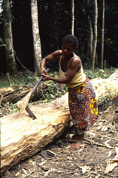 Mbuti women doing day labor, getting firewood 