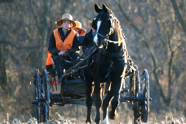 Amish deer hunters in Wisconsin (Photo by chumlee10 on Flickr, Creative Commons license)