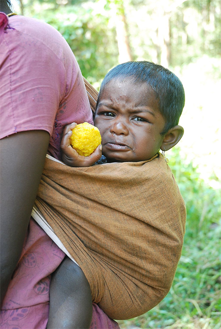A Kadar child at the Anappantham Colony in the Vellikulangara Forest Range, the Thrissur District of Kerala (Photo by Dpradeepkumar in Wikimedia, Creative Commons license)