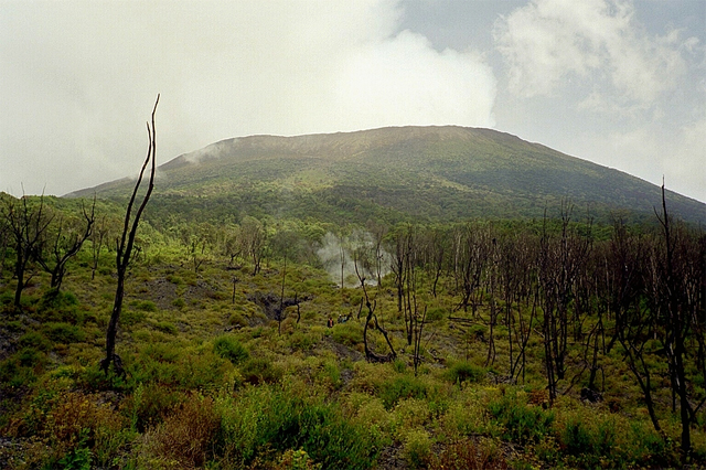 Nyiragongo volcano north of Kivu (Photo by Maik Bunschkowski in Wikimedia, Creative Commons license)