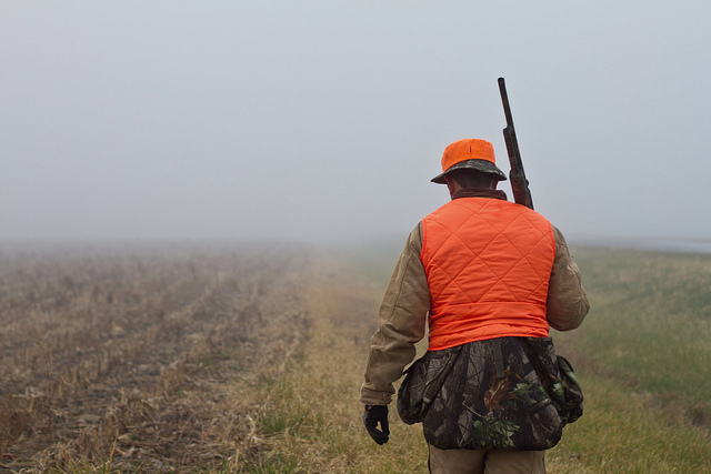 A deer hunter wearing blaze orange in Illinois (Photo by Kevin Chang on Flickr, Creative Commons license)