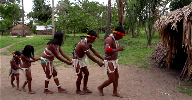 Traditional Piaroa village culture (Screenshot from the video “Piaroa Culture: Venezuelan Amazon” by ProBiodiversa on Vimeo, Creative Commons license)