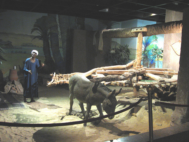A display of a water-wheel in Old Nubia in the Aswan Museum 