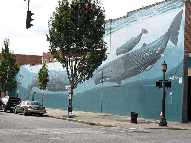Whales as street art in New London, Connecticut 