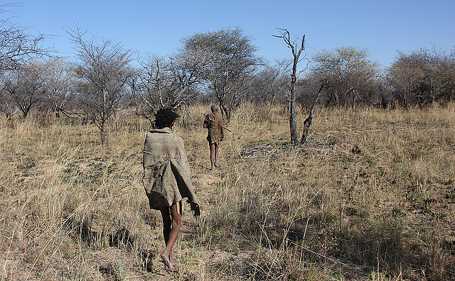 Two Ju/’hoansi trackers following game tracks in the bush near Xaoba, a village in the Nyae Nyae Conservancy 