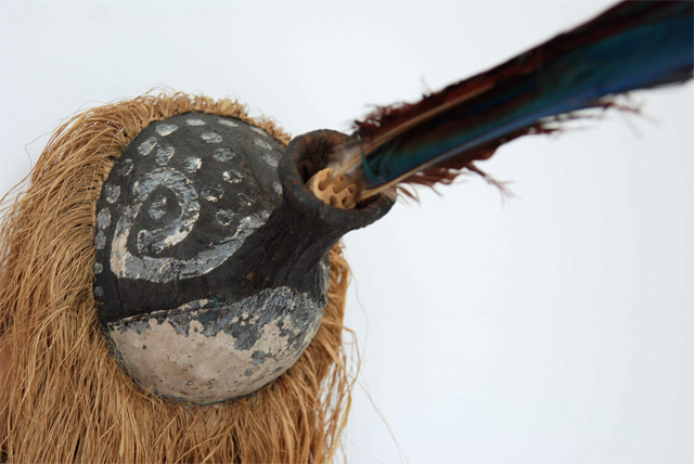 The warime mask of a peccary added to the Museum of Sciences collection 
