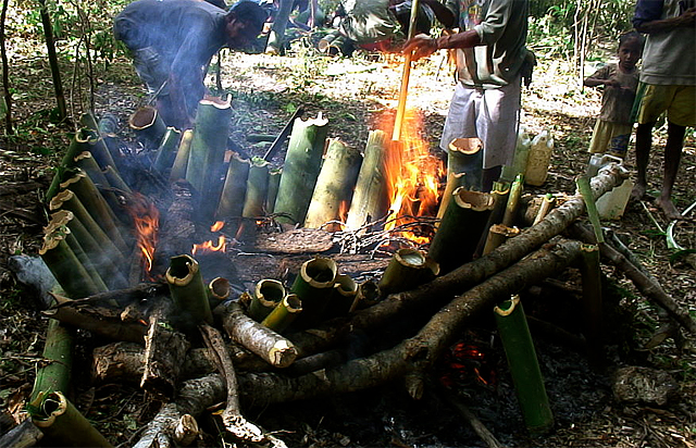 Cooking with bamboo 