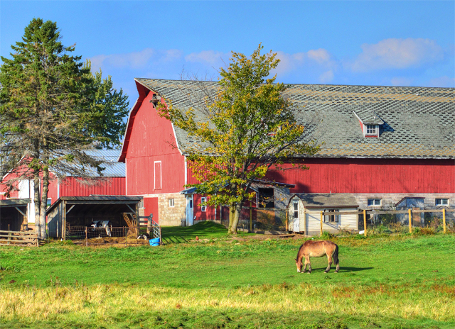Hemlock Creek Amish farm in Wood County, Wisconsin 