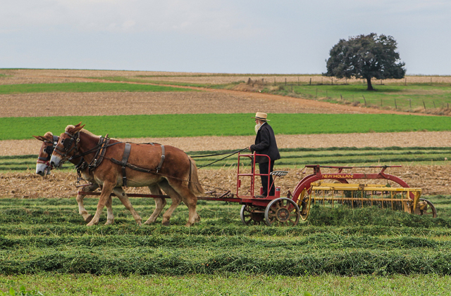 An Amish farmer in Pennsylvania Dutch country 