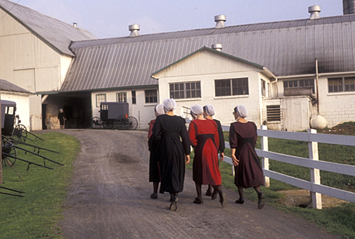 In Pennsylvania Dutch country, young Amish women approach a farm yard 