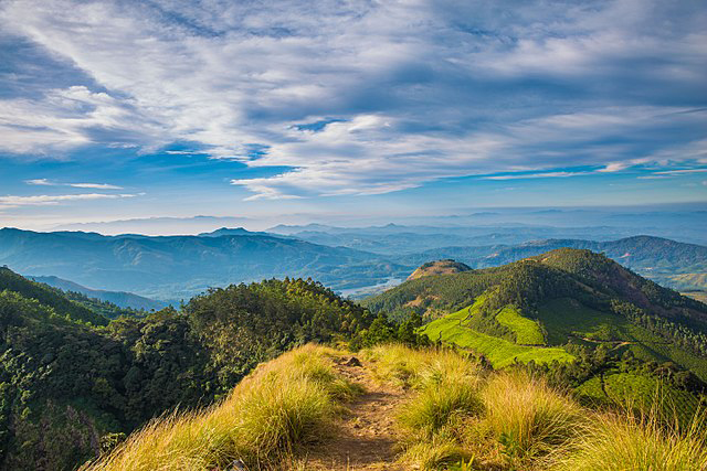 View of the Western Ghats from the Kolukkumalai Peak 