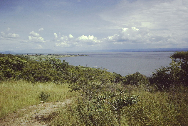 The shore of Lake Rukwa 