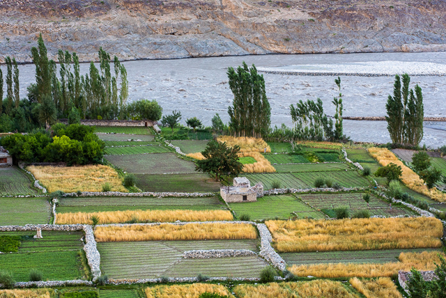 The village of Turtuk on the Shyok River, part of the Siachen River system 