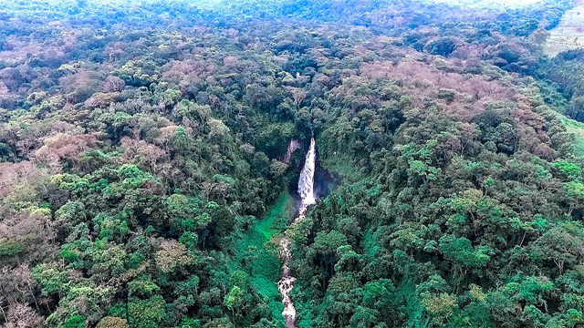 A waterfall in the Kahuzi Biega National Park 