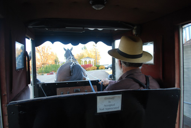 An Amish buggy ride in Holmes County (Photo by Kathleen & Ryan Rush on Flickr, Creative Commons license)