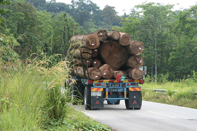 A logging truck in Kelantan 