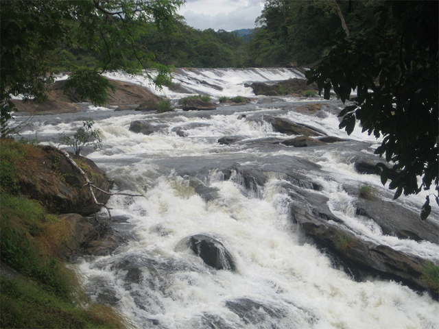 The Vazhachal Waterfalls and a nearby Kadar community are 400 m. downstream from a proposed dam site 
