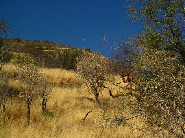 The Otjozondjupa Region of Namibia 