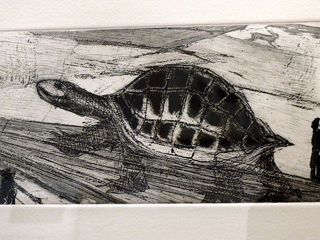 An engraving of a tortoise by Francisco Toledo 