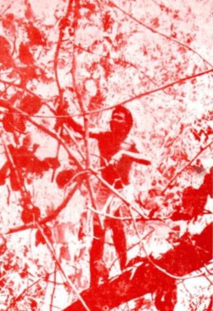 The cover photo on Adhikary’s book Society and World View of the Birhor shows a Birhor man cutting Bauhinia vines in a forest tree