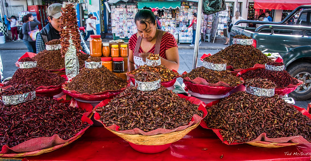 Chapulines (grasshoppers) for sale in a Oaxaca market 